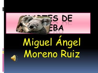 MARTES DE
PRUEBA
Miguel Ángel
Moreno Ruiz
 