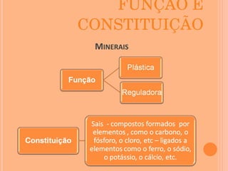 FUNÇÃO E CONSTITUIÇÃO M INERAIS 