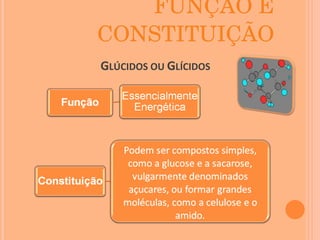 FUNÇÃO E CONSTITUIÇÃO G LÚCIDOS OU  G LÍCIDOS 