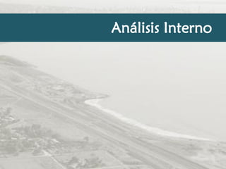 Análisis Interno

 