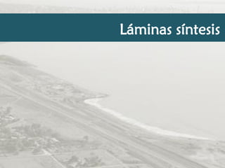 Láminas síntesis

 