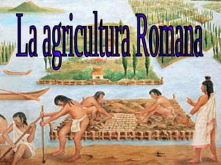 La agricultura Romana 