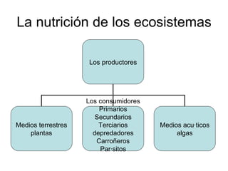 La nutrición de los ecosistemas Los productores Medios terrestres plantas Los consumidores Primarios Secundarios Terciarios depredadores Carroñeros Parásitos Medios acuáticos algas