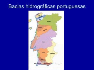 Bacias hidrográficas portuguesas
 