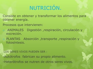 NUTRICIÓN. 
Consiste en obtener y transformar los alimentos para 
obtener energía. 
Procesos que intervienen: 
o ANIMALES Digestión ,respiración, circulación y 
excreción. 
o PLANTAS Absorción ,transporte ,respiración y 
fotosíntesis. 
LOS SERES VIVOS PUEDEN SER : 
-Autótrofos fabrican su propio alimento. 
-Heterótrofos se nutren de otros seres vivos. 
 
