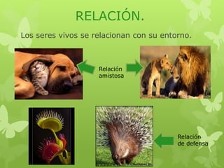RELACIÓN. 
Los seres vivos se relacionan con su entorno. 
Relación 
amistosa 
Relación 
de defensa 
 