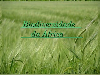   Biodiversidade    Biodiversidade    
     da África               da África          
 