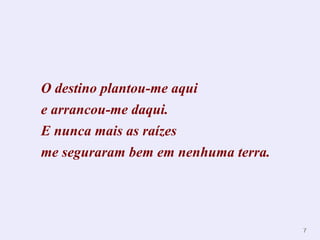 O destino plantou-me aqui  e arrancou-me daqui. E nunca mais as raízes me seguraram bem em nenhuma terra. 