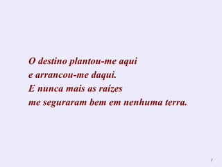 O destino plantou-me aqui  e arrancou-me daqui. E nunca mais as raízes me seguraram bem em nenhuma terra. 