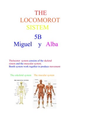 THE 
LOCOMOROT 
SISTEM 
5B 
Miguel y Alba 
Thelocotor system consists of the skeletal 
sistem and the muscular system. 
Bonth system work together to produce movement 
The eskeletal system The mucular system 
