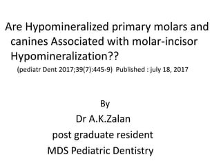 Are Hypomineralized primary molars and
canines Associated with molar-incisor
Hypomineralization??
(pediatr Dent 2017;39(7):445-9) Published : july 18, 2017
By
Dr A.K.Zalan
post graduate resident
MDS Pediatric Dentistry
 