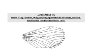 ASSIGNMENT ON
Insect Wing Venation, Wing coupling apparatus: its structure, function,
modification in different order of insect
 