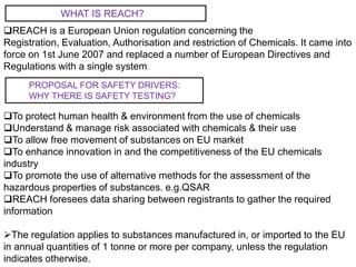 REACH process in detail