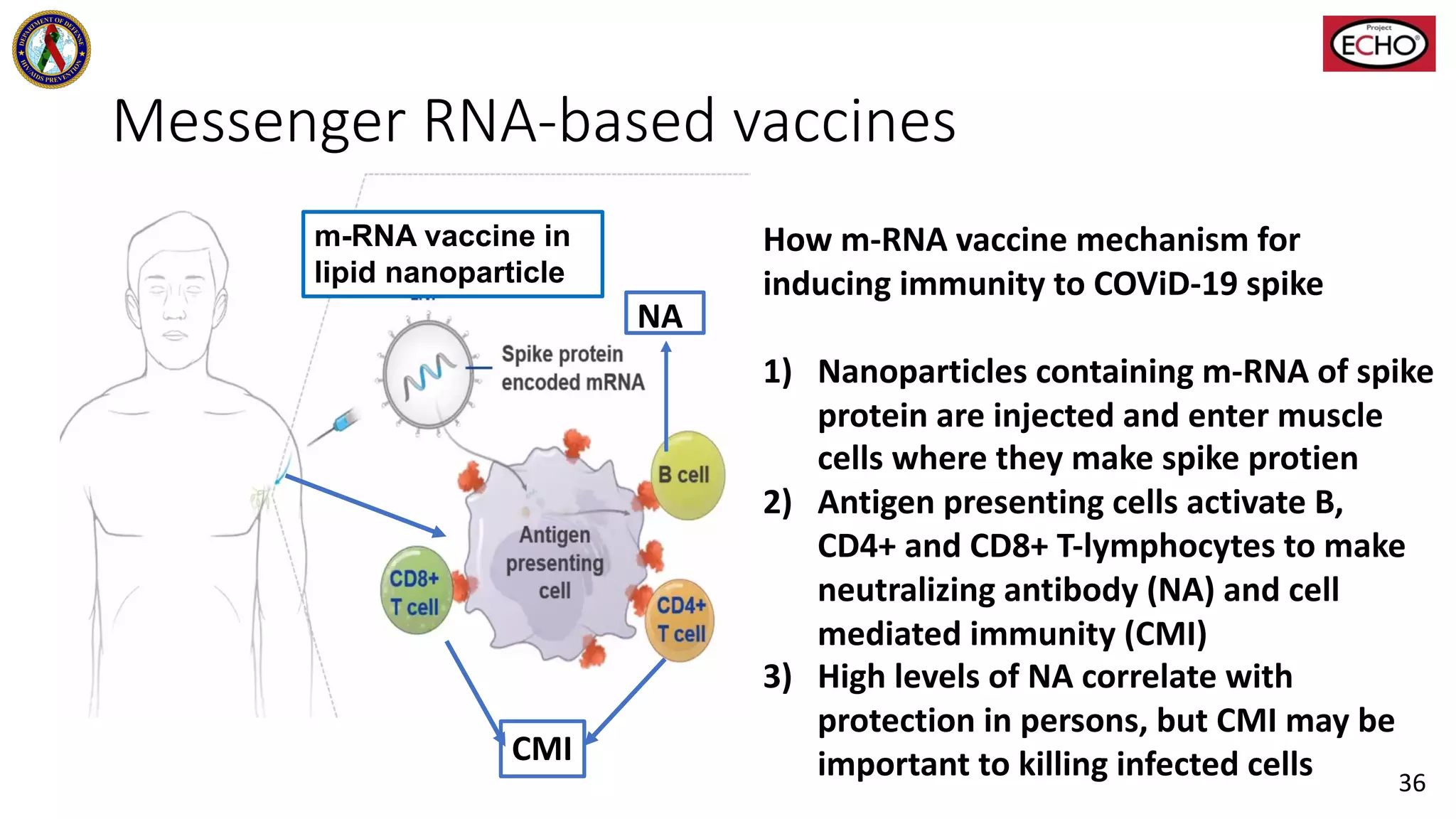 Messenger RNA-based vaccines
m-RNA vaccine in
lipid nanoparticle
How m-RNA vaccine mechanism for
inducing immunity to COViD-19 spike
1) Nanoparticles containing m-RNA of spike
protein are injected and enter muscle
cells where they make spike protien
2) Antigen presenting cells activate B,
CD4+ and CD8+ T-lymphocytes to make
neutralizing antibody (NA) and cell
mediated immunity (CMI)
3) High levels of NA correlate with
protection in persons, but CMI may be
important to killing infected cells
NA
CMI
36
 