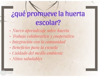 Mi huerta de aprendizaje.