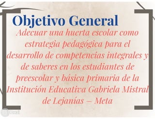 Mi huerta de aprendizaje.