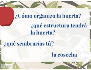 Mi huerta de aprendizaje.