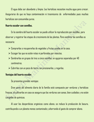 El agua debe ser abundante y limpia. Las hortalizas necesitan mucha agua para crecer.
Asegurarse de que no haya contaminación ni trasmisores de enfermedades pues muchas
hortalizas son consumidas puras.
Huerto escolar con semillas.
En la siembra del huerto escolar se puede utilizar la reproducción por semillas, para
observar y registrar las etapas de crecimiento de las plantas. Para sembrar las semillas es
necesario:
 Comprarlas o recuperarlas de vegetales y frutas usadas en la casa.
 Escoger las que no estén rotas ni perforadas por insectos.
 Sembrarlas en grupos de tres a cinco semillas, en agujeros separados por 40
centímetros.
 Cubrirlas con un poco de tierra, sin presionarlas, y regarlas.
Ventajas del huerto escolar.
Se presentan grandes ventajas:
Gran parte del alimento diario de la familia está compuesto por verduras y hortalizas
frescas, al cultivarlas en casa se asegura que las verduras son sanas, bien cuidadas y no están
cargadas de químicos.
Al usar los desperdicios orgánicos como abono, se reduce la producción de basura,
contribuyendo a un planeta menos contaminado y ahorrando el gasto de comprar abono.
 