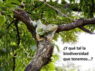 ¿Y qué tal la biodiversidad que tenemos…?