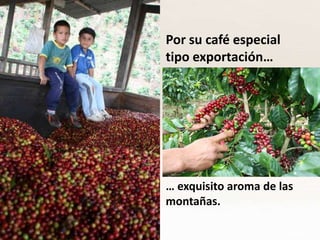 Por su café especial tipo exportación…… exquisito aroma de las montañas.