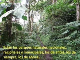 Están los parques naturales nacionales, regionales y municipales, los de antes, los de siempre, los de ahora…