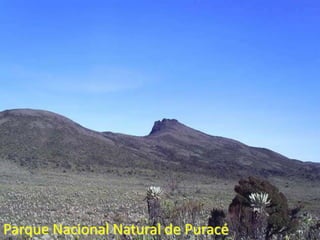 Parque Nacional Natural de Puracé
