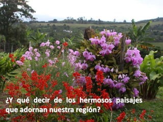 ¿Y qué decir de los hermosos paisajes que adornan nuestra región?