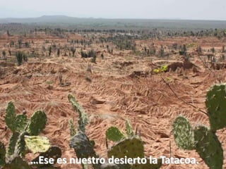 …Ese es nuestro desierto la Tatacoa.