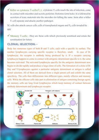 Killer or cytotoxic T-cells(TC): -Cytotoxic T-cells reach the site of infection, come
in contact with microbes and secrete perforins. Perforins form holes. It is followed by
secretion of toxic materials into the microbes for killing the same. Soon after a killer
T-cell separate and attacks another pathogen.
TC cells also attack cancer cells, cells of transplanted organs and TH cells invaded by
HIV
Memory T-cells: -They are those cells which previously sensitized and retain the
sensitization for future.
CLONAL SELECTION: -
Body has numerous types of both B and T cells, each with a specific its surface. The
number lymphocytes carrying specific receptor is therefore, small. In case of B-
lymphocyte, the receptor is antibody being produced by it. If a receptor carrying
lymphocyte happens to come in contact with antigenic determinant specific to it, the same
becomes activated. The activated lymphocyte specific for the antigenic determinant now
begins to divide rapidly and produce a large clone of cells. The formation of a clone of B-
Day and T-lymphocytes against a particular antigenic determinant or antigen is called
clonal selection. All of them are derived from a single parent cell and exhibit the same
specificity. The cells then differentiate into different types, mainly effector and memory
cells. While the effector cells take part in elimination of antigen containing foreign agent,
the memory cells are long lived lymphocytes which keep memory of contact between
antibody determinant and lymphocyte receptor.
.
 