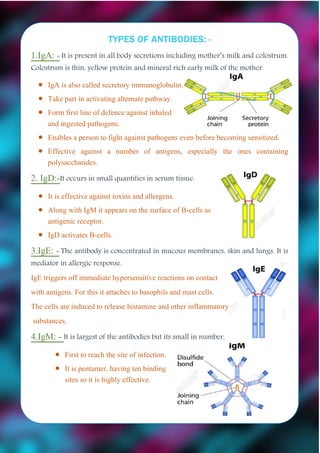 TYPES OF ANTIBODIES: -
1.IgA: -It is present in all body secretions including mother’s milk and colostrum.
Colostrum is thin, yellow protein and mineral rich early milk of the mother.
 IgA is also called secretory immunoglobulin.
 Take part in activating alternate pathway.
 Form first line of defence against inhaled
and ingested pathogens.
 Enables a person to fight against pathogens even before becoming sensitized.
 Effective against a number of antigens, especially the ones containing
polysaccharides.
2. IgD:-It occurs in small quantities in serum tissue.
 It is effective against toxins and allergens.
 Along with IgM it appears on the surface of B-cells as
antigenic receptor.
 IgD activates B-cells.
3.IgE: -The antibody is concentrated in mucous membranes, skin and lungs. It is
mediator in allergic response.
IgE triggers off immediate hypersensitive reactions on contact
with antigens. For this it attaches to basophils and mast cells.
The cells are induced to release histamine and other inflammatory
substances.
4.IgM: - It is largest of the antibodies but its small in number.
 First to reach the site of infection.
 It is pentamer, having ten binding
sites so it is highly effective.
 