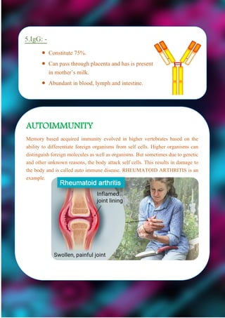 5.IgG: -
 Constitute 75%.
 Can pass through placenta and has is present
in mother’s milk.
 Abundant in blood, lymph and intestine.
AUTOIMMUNITY
Memory based acquired immunity evolved in higher vertebrates based on the
ability to differentiate foreign organisms from self cells. Higher organisms can
distinguish foreign molecules as well as organisms. But sometimes due to genetic
and other unknown reasons, the body attack self cells. This results in damage to
the body and is called auto immune disease. RHEUMATOID ARTHRITIS is an
example.
 
