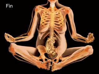 Anatomía aparato genital femenino, para alumn@s