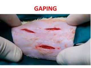 GAPING
 
