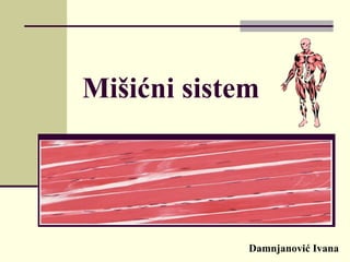 Mišićni sistem
Damnjanović Ivana
 
