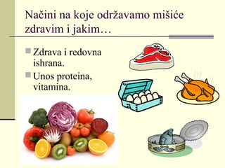 Načini na koje održavamo mišiće
zdravim i jakim…
 Zdrava i redovna
ishrana.
 Unos proteina,
vitamina.
 