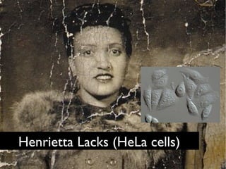 Henrietta Lacks (HeLa cells)	

 