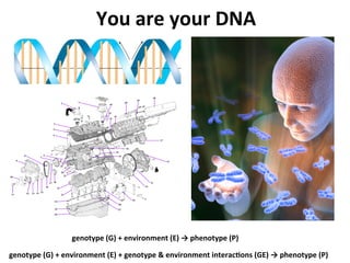 You	
 are	
 your	
 DNA	
 




                         genotype	
 (G)	
 +	
 environment	
 (E)	
 →	
 phenotype	
 (P)	
 

genotype	
 (G)	
 +	
 environment	
 (E)	
 +	
 genotype	
 	
 environment	
 interac:ons	
 (GE)	
 →	
 phenotype	
 (P)	
 
 