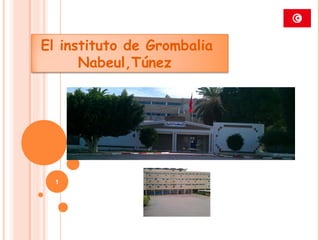 1
El instituto de Grombalia
Nabeul,Túnez
 