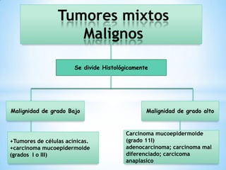 Tumores mixtos
                    Malignos

                       Se divide Histológicamente




Malignidad de grado Bajo                        Malignidad de grado alto


                                         Carcinoma mucoepidermoide
+Tumores de células acínicas.            (grado 11I)
+carcinoma mucoepidermoide               adenocarcinoma; carcinoma mal
(grados I o III)                         diferenciado; carcicoma
                                         anaplasico
 
