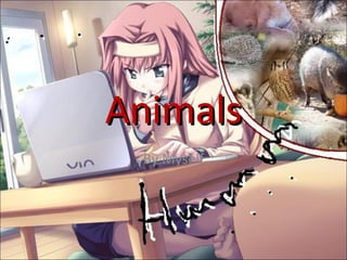 Animals By Myself 