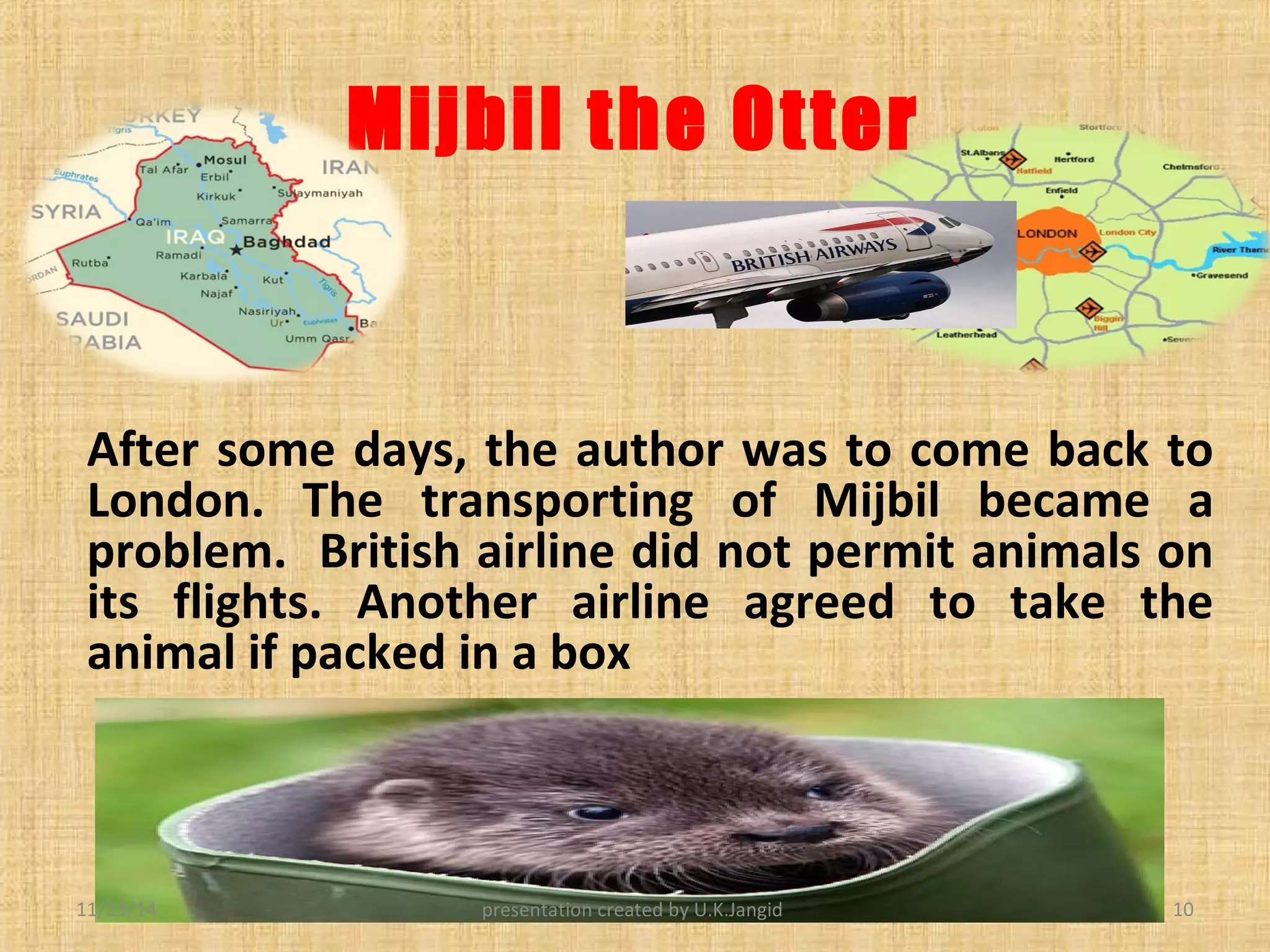 Mijbil the otter | PPT