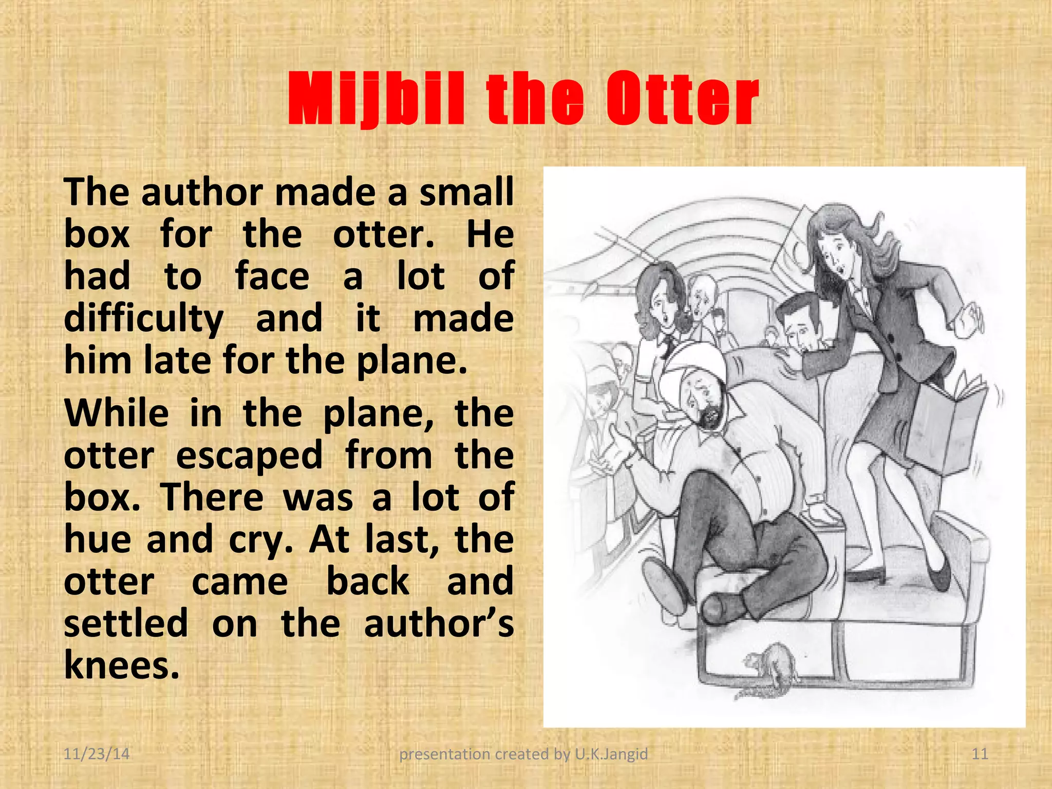 Mijbil the otter | PPT