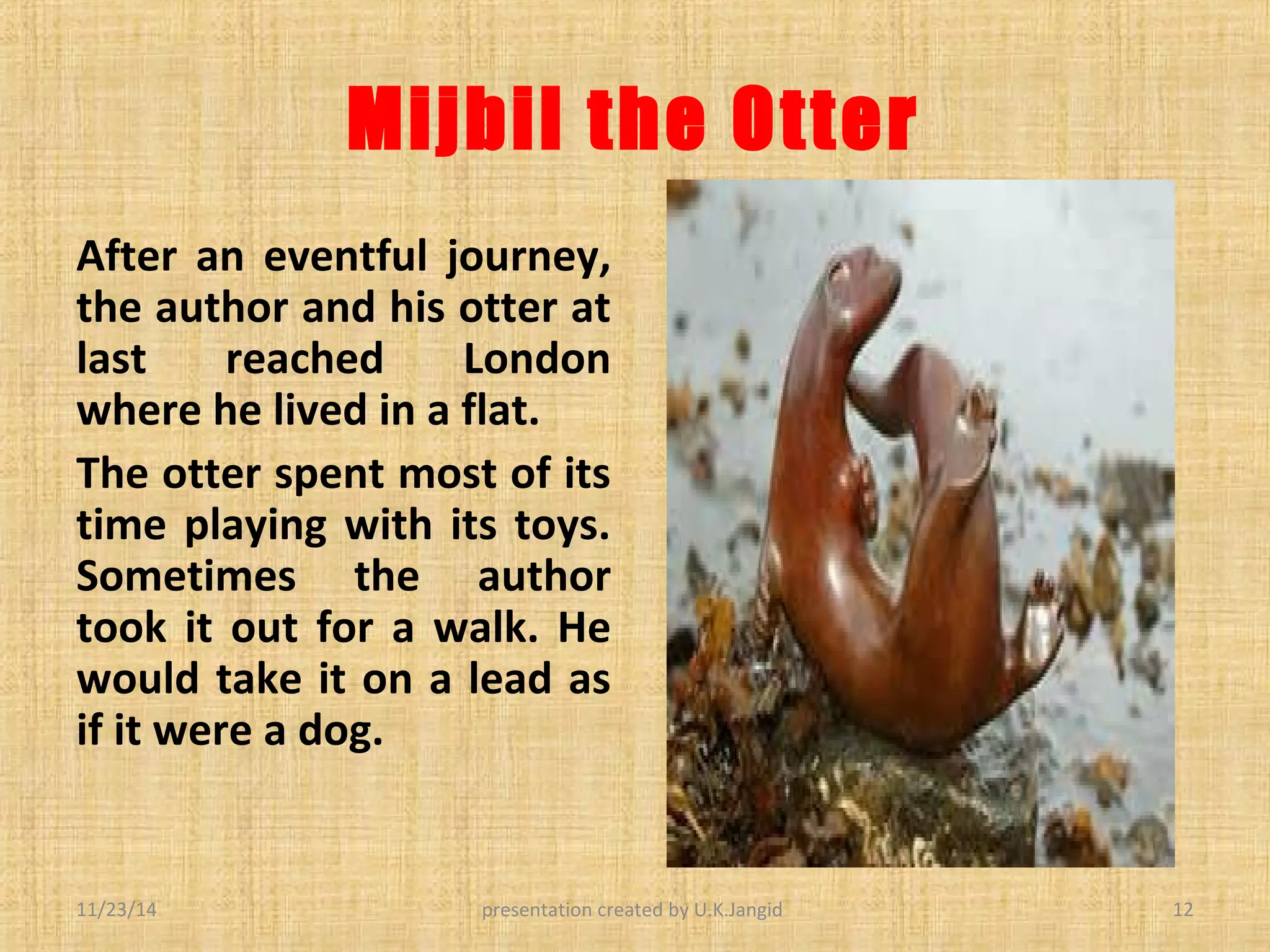 Mijbil the otter | PPT