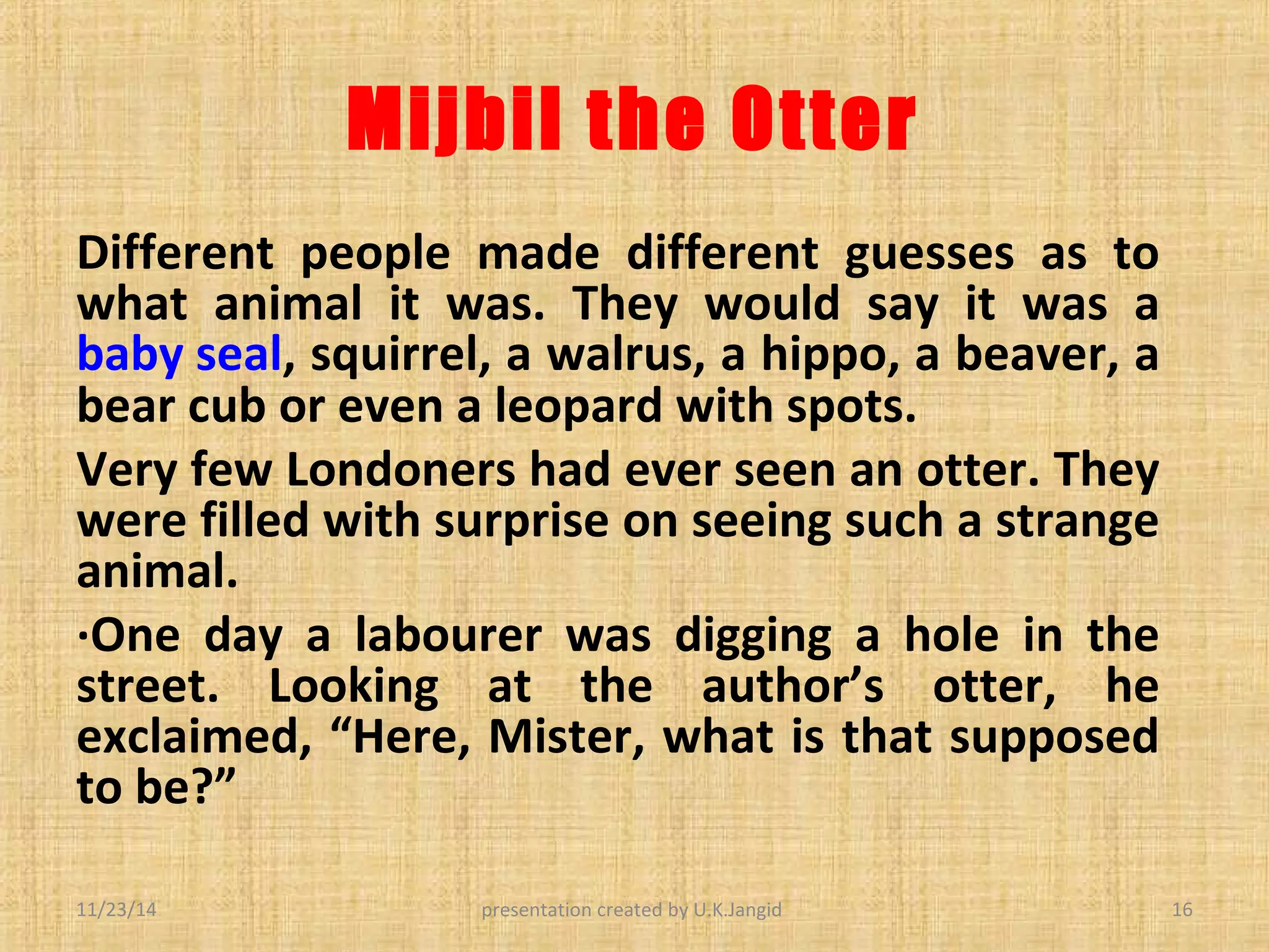 Mijbil the otter | PPT
