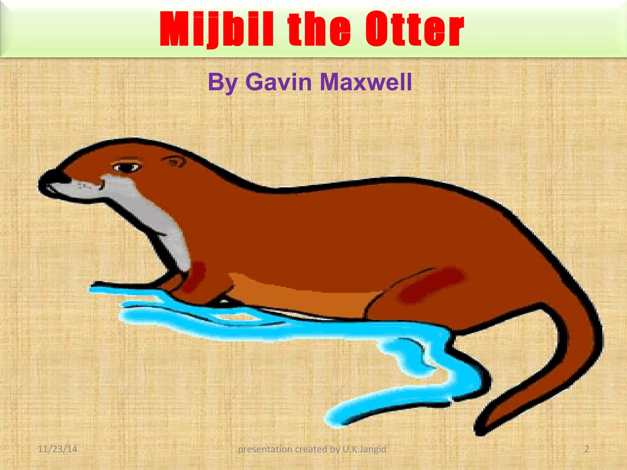 Mijbil the otter | PPT