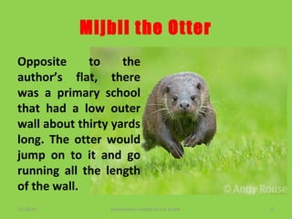 Mijbil the Otter 
Opposite to the 
author’s flat, there 
was a primary school 
that had a low outer 
wall about thirty yards 
long. The otter would 
jump on to it and go 
running all the length 
of the wall. 
11/23/14 presentation created by U.K.Jangid 15 
 