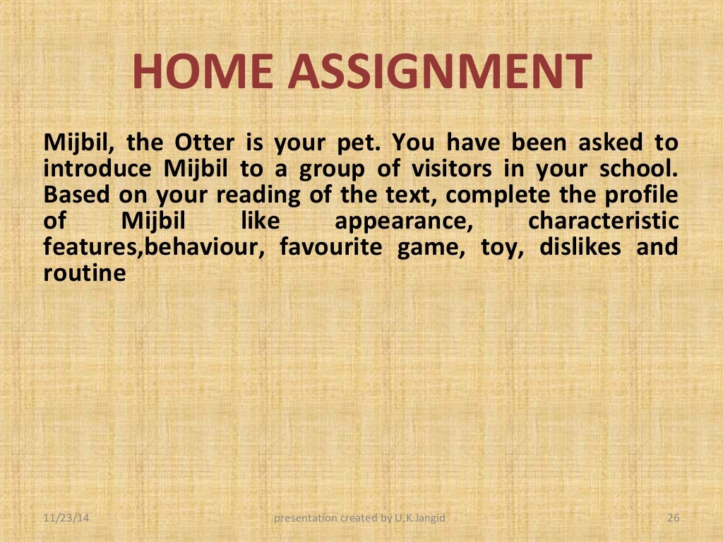 Mijbil the otter