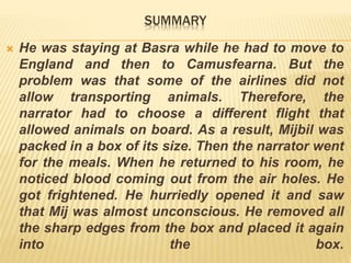 Mijbil the otter | PPT