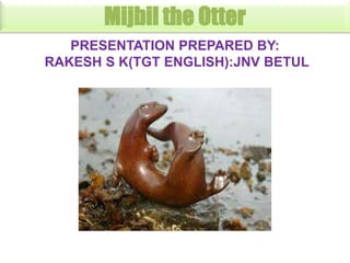 Mijbil the Otter
PRESENTATION PREPARED BY:
RAKESH S K(TGT ENGLISH):JNV BETUL

 