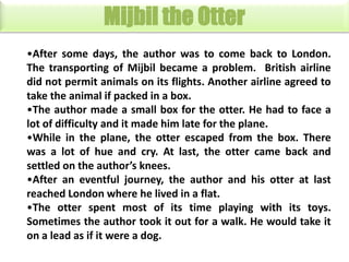 Mijbil the Otter
•After some days, the author was to come back to London.
The transporting of Mijbil became a problem. British airline
did not permit animals on its flights. Another airline agreed to
take the animal if packed in a box.
•The author made a small box for the otter. He had to face a
lot of difficulty and it made him late for the plane.
•While in the plane, the otter escaped from the box. There
was a lot of hue and cry. At last, the otter came back and
settled on the author’s knees.
•After an eventful journey, the author and his otter at last
reached London where he lived in a flat.
•The otter spent most of its time playing with its toys.
Sometimes the author took it out for a walk. He would take it
on a lead as if it were a dog.

 